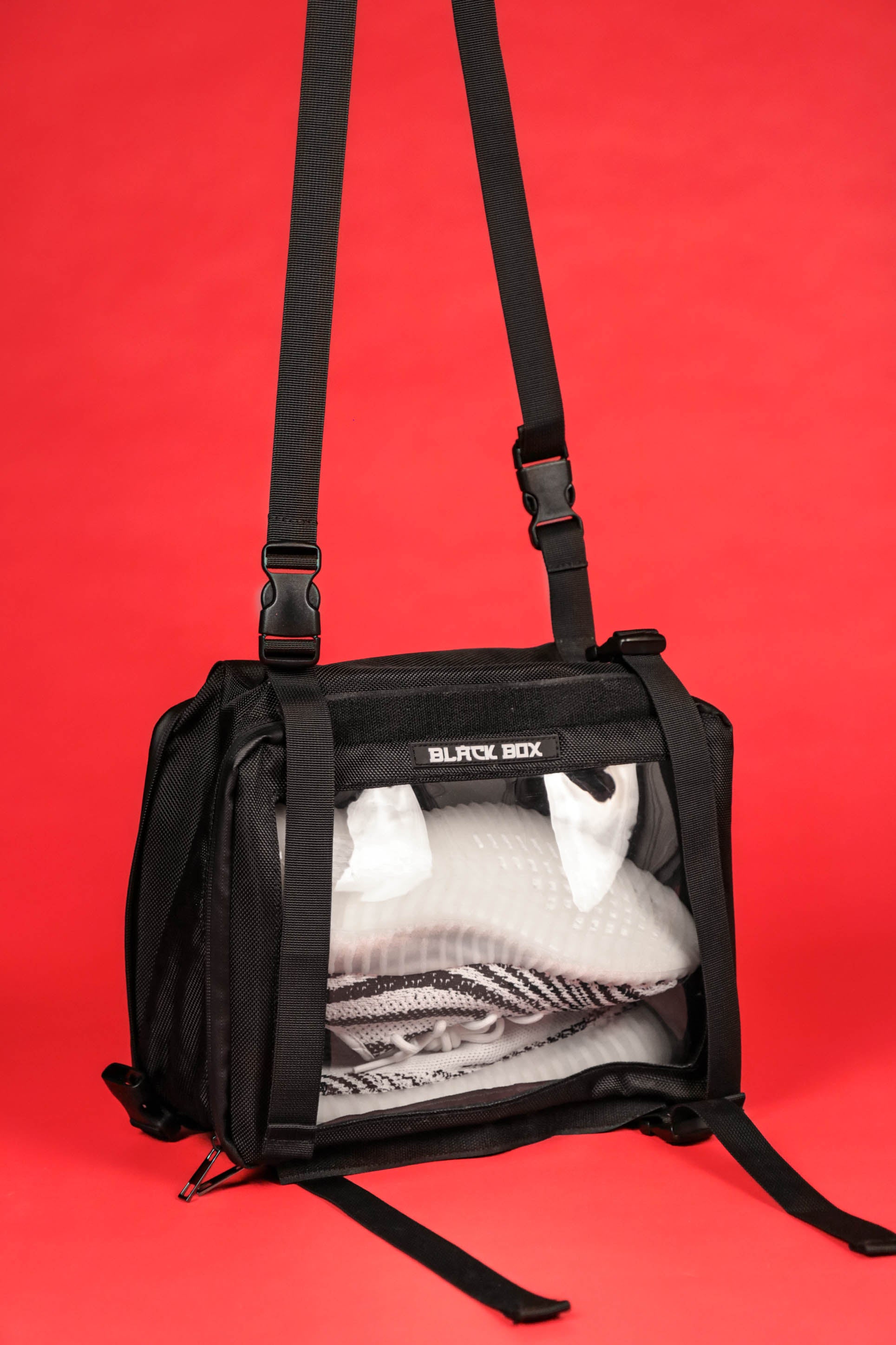 Black Box Portable Hanging Sneaker Bag For Travel and Storage With Clear Window