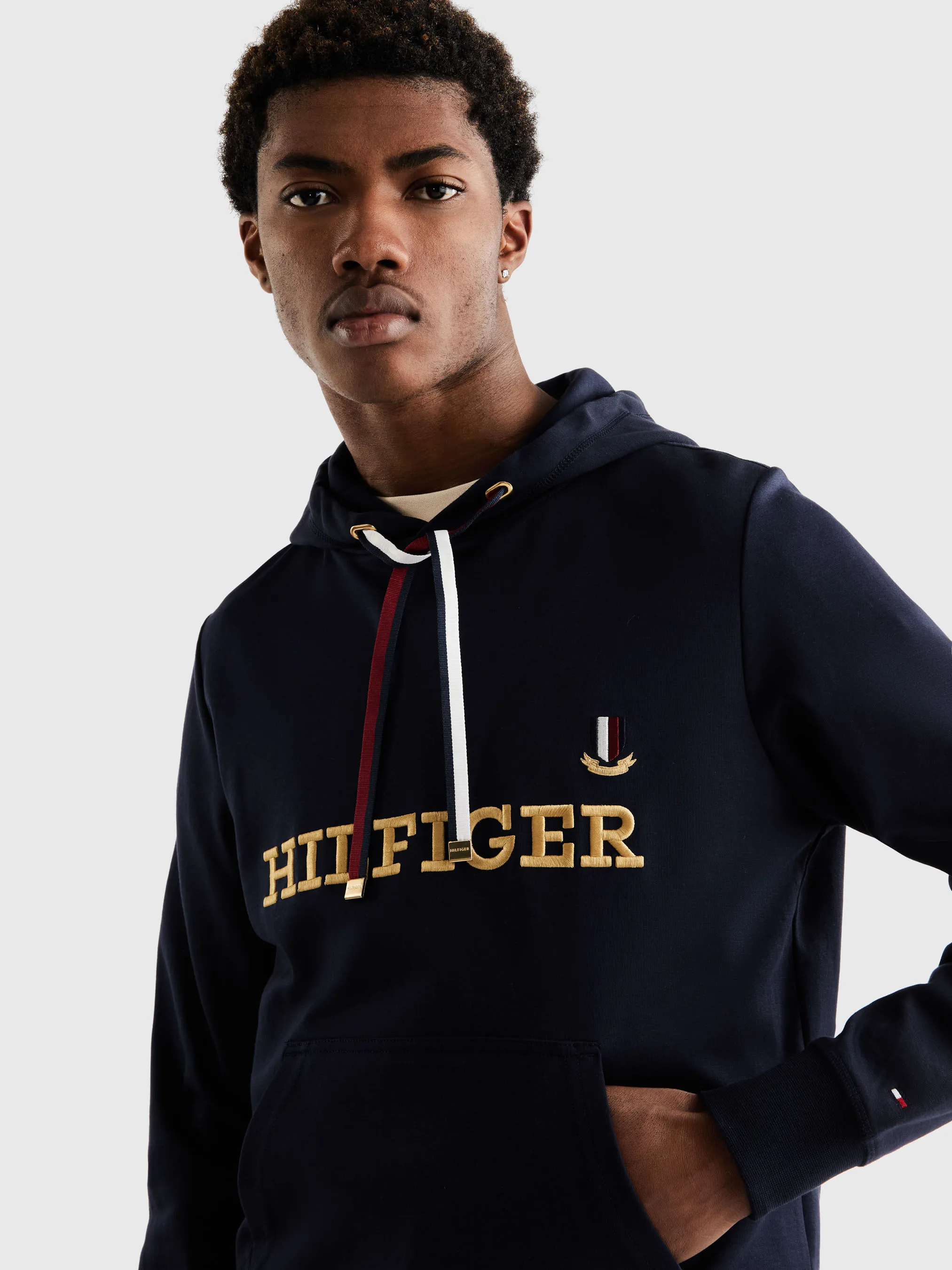 Hilfiger Icon Hoodie | Sweatshirts & Hoodies | Tommy Hilfiger