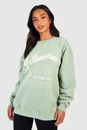 Hoodies & Sweatshirts | Petite Slogan Oversized Sweatshirt | boohoo